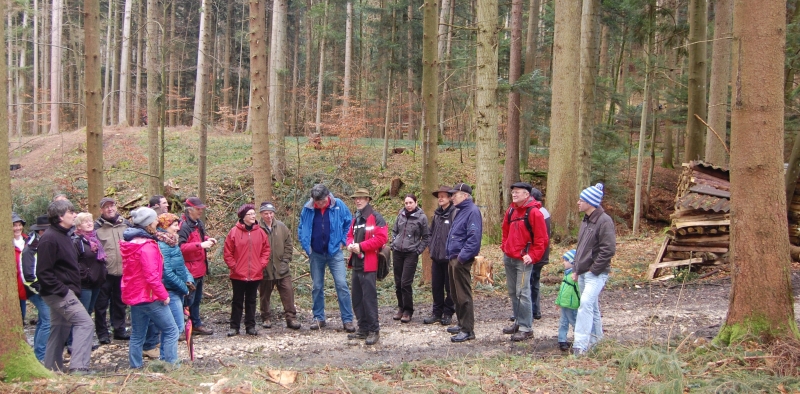 tl_files/sv_rosswangen/Events/2013/Flurenwanderung 1.JPG